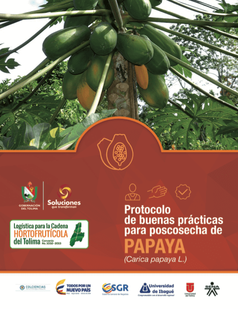 Guia papaya